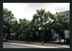 Block 318: East Houston Street between Bowery and Chrystie Street (south side)