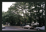 Block 318: East Houston Street between Bowery and Chrystie Street (south side)