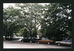 Block 318: Chrystie Street between East Houston Street and Stanton Street (west side)