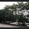 Block 318: Chrystie Street between East Houston Street and Stanton Street (west side)