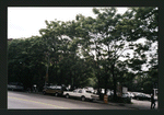 Block 318: Chrystie Street between East Houston Street and Stanton Street (west side)