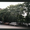 Block 318: Chrystie Street between East Houston Street and Stanton Street (west side)
