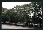 Block 318: Chrystie Street between East Houston Street and Stanton Street (west side)