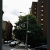 Block 318: Chrystie Street between East Houston Street and Stanton Street (west side)