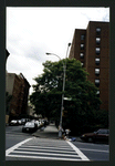 Block 318: Chrystie Street between East Houston Street and Stanton Street (west side)