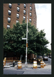 Block 318: Bowery between Stanton Street and East Houston Street (east side)