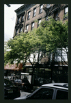 Block 319: Rivington Street between Chrystie Street and Bowery (north side)
