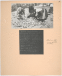 Text on the verso of the picture.