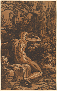 Narcissus at the Spring ; after Parmigianino