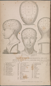 Elements of phrenology