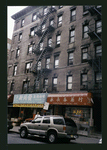 Block 329: Elizabeth Street between Canal Street and Hester Street (east side)