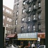 Block 329: Elizabeth Street between Canal Street and Hester Street (east side)