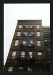 Block 331: Elizabeth Street between Grand Street and Broome Street (east side)