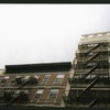 Block 333: Elizabeth Street between Grand Street and Hester Street (west side)
