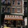 Block 333: Elizabeth Street between Grand Street and Hester Street (west side)