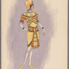 Woman's costume