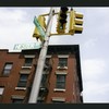 Block 333: Hester Street between Elizabeth Street and Mott Street (north side)