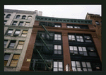 Block 334: Elizabeth Street between Hester Street and Canal Street (west side)