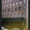 Block 335: Elizabeth Street between Canal Street and Bayard Street (west side)