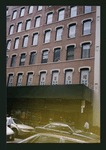 Block 335: Elizabeth Street between Canal Street and Bayard Street (west side)