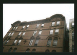 Block 335: Elizabeth Street between Canal Street and Bayard Street (west side)