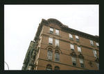 Block 335: Elizabeth Street between Canal Street and Bayard Street (west side)