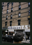 Block 335: Mott Street between Bayard Street and Canal Street (east side)