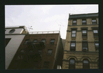 Block 335: Mott Street between Bayard Street and Canal Street (east side)