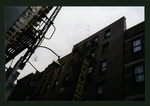 Block 336: Pell Street between Mott Street and Doyers Street (south side)