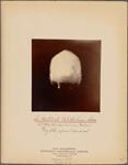 Six Adult Male Pah Ute Indian Skulls [rear view]