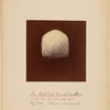Four Adult Male Commanche Indian Skulls [rear view]