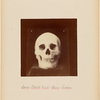 Seven Adult Male Sioux Indians [front view]