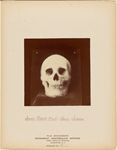 Seven Adult Male Sioux Indians [front view]