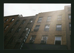 Block 336: Pell Street between Mott Street and Doyers Street (south side)