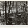 Picnic park created by CCC (Civilian Conservation Corps). Savoy Mountain State Park, Massachusetts