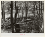 Picnic park created by CCC (Civilian Conservation Corps). Savoy Mountain State Park, Massachusetts