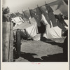 The incessant struggle for cleanliness amid dust and dirt. Imperial County, California