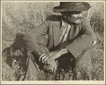 James Temple, strawberry picker, Hammond, Louisiana