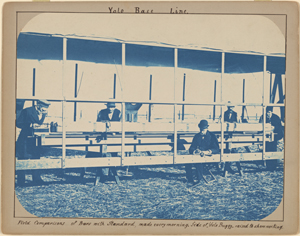 Collection of 9 Cyanotype Prints from the Yolo Base Line Survey