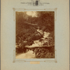 Spring Creek