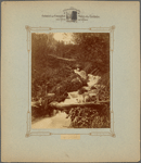 Spring Creek