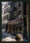 Block 337: Mosco Street between Mulberry Street and Mott Street (south side)