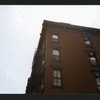 Block 337: Mosco Street between Mulberry Street and Mott Street (south side)
