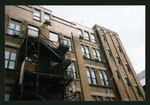 Block 339: Mulberry Street between Canal Street and Bayard Street (east side)