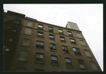 Block 340: Mott Street between Canal Street and Hester Street (west side)