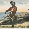 "The Home Stretch in Florida" - postcard to Frederick Hoeing