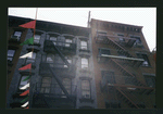 Block 342: Mulberry Street between Broome Street and Grand Street (east side)