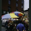 Block 346: Mulberry Street between Canal Street and Bayard Street (west side)