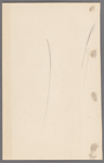 Woman's costume