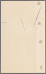 Woman's costume